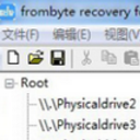 Frombyte Recovery For HP EVA绿色版