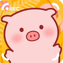 美食家小猪的大冒险手游(趣味养成) v1.1 安卓版