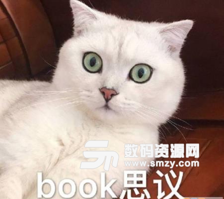 Book思议猫咪表情包下载