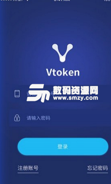 Vtoken和vpay有什么关系图片