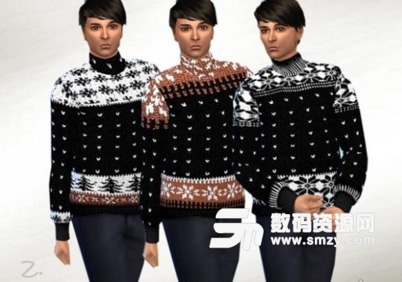 模拟人生4男士高领冬季毛衣MOD