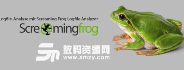 Screaming Frog Log File Analyser免费版图片