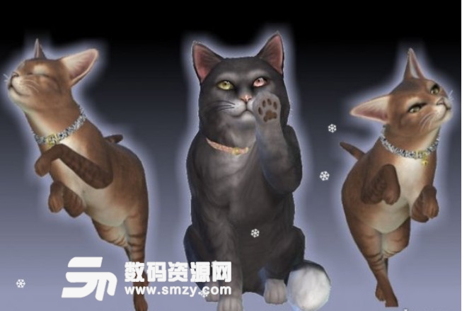 模拟人生4闪闪发光的宠物猫项圈MOD