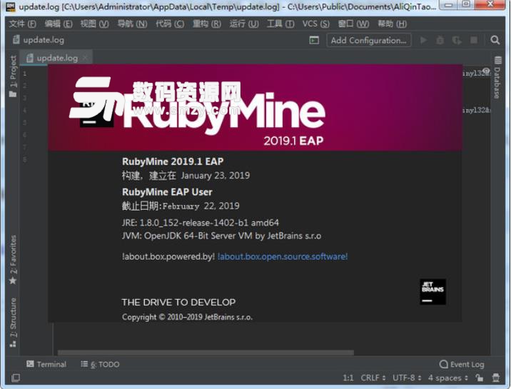 JetBrains RubyMine2019汉化包