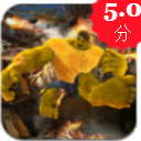 绿巨人战争最新版(漫威英雄动作冒险) v1.4 安卓版