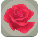 玫瑰花园安卓手游(佛系养成游戏) v2.4 免费版