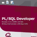 PLSQL Developer13中文正式版