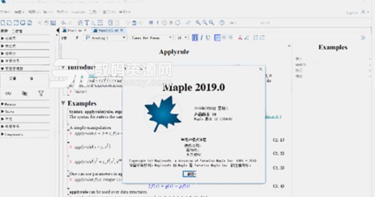 Maplesoft Maple 2019中文版下载