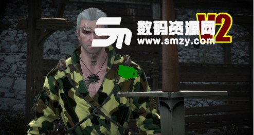 巫师3狂猎杰洛特衣服迷彩包MOD