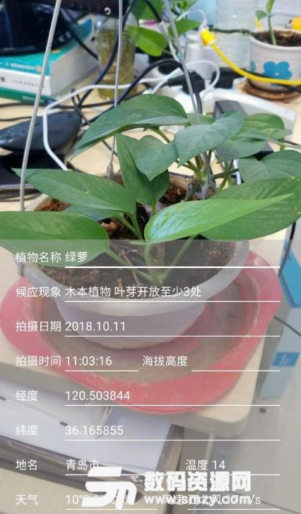 物候相机安卓版(专门为植物拍照) v1.3 手机版