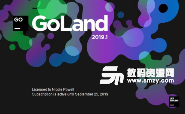 JetBrains GoLand 2019中文版截图