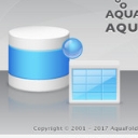 Aqua Data Studio汉化补丁