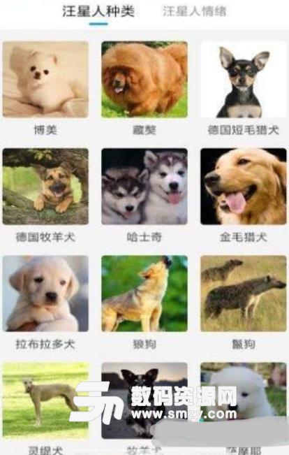 猫狗动物翻译器app(宠物交流) v1.2 安卓版