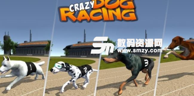 疯狂的狗比赛手游安卓版(狗狗竞速跑酷) v2.6.3 最新版