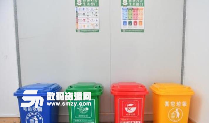 中国以外的其他国家都是怎么做垃圾分类的