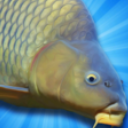 鲤鱼钓鱼模拟器官方版(附数据包) v2.4 安卓手机版