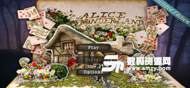 Alice in Wonderland手机版(休闲解谜手游) v1.10 安卓版