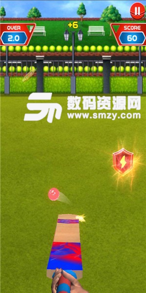 疯狂板球比赛手机版(体育竞技) v0.0.5 免费版