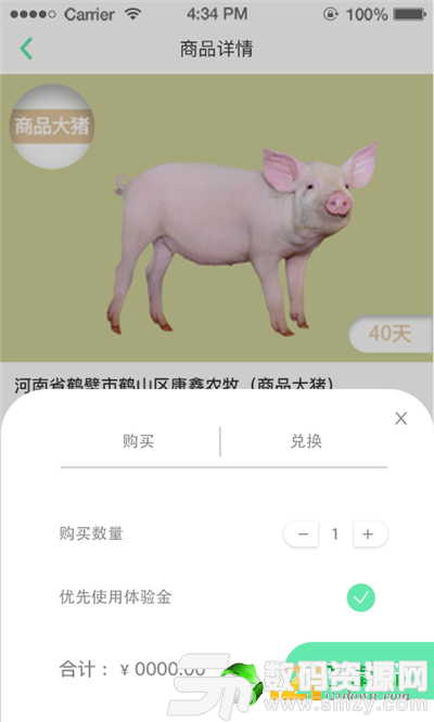 趣味养猪最新版(生活休闲) v1.1 安卓版