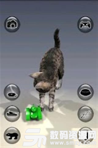 现实猫免费版(益智休闲) v1.30 安卓版
