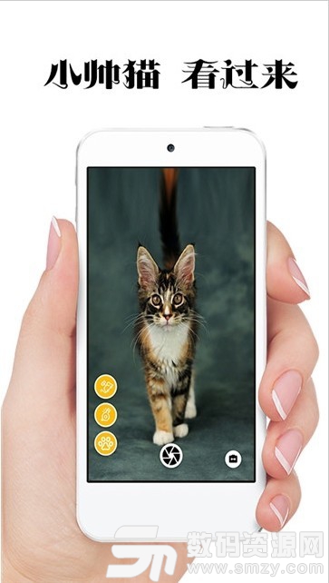 极简猫咪相机安卓版(摄影摄像) v1.1.5 免费版