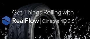 Realflow for win下载