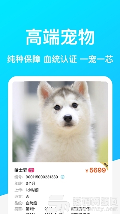 Dog Breeds狗品种安卓版(生活服务) vBreedsapp 1.4 手机版