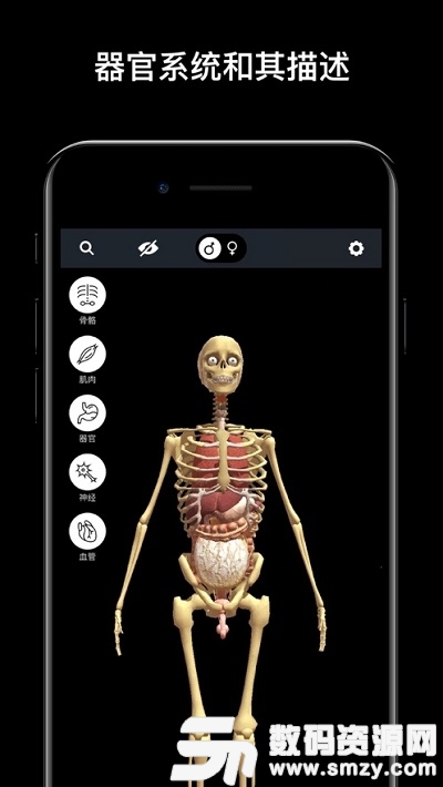 发现人体AR最新版(教育学习) v1.4.0 安卓版