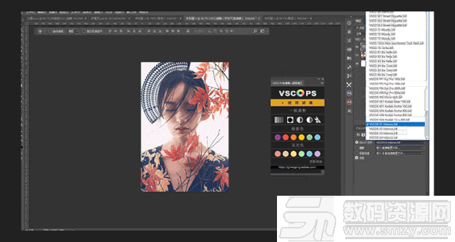 VSCO扩展面板PS插件官方版下载