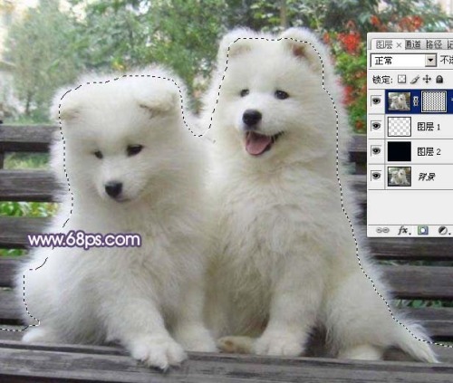 Photoshop技巧：抽出滤镜抠出白色的小狗