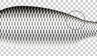 Photoshop鼠绘教程 绘制一条新鲜的鲫鱼 
