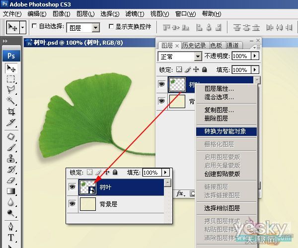 Photoshop教程 用複製變換做圖案