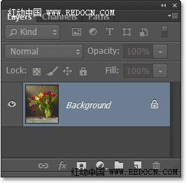 PS图片处理教程 快速把花朵静物图片转为水彩画效果 图1