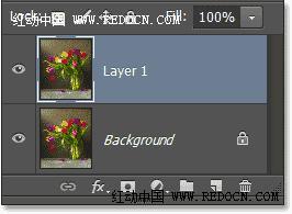PS图片处理教程 快速把花朵静物图片转为水彩画效果 图3