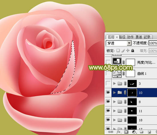 Photoshop实例教程 绘制漂亮的粉色玫瑰花 图36