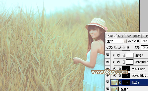 Photoshop照片调色教程 打造淡褐色韩系外景美女照片 图27