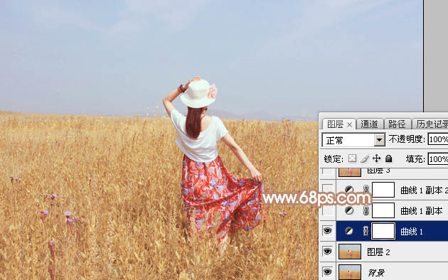 Photoshop调色教程 打造红褐色外景美女照片 图27