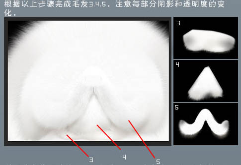 PS鼠绘教程 绘制可爱的白色小猫头像