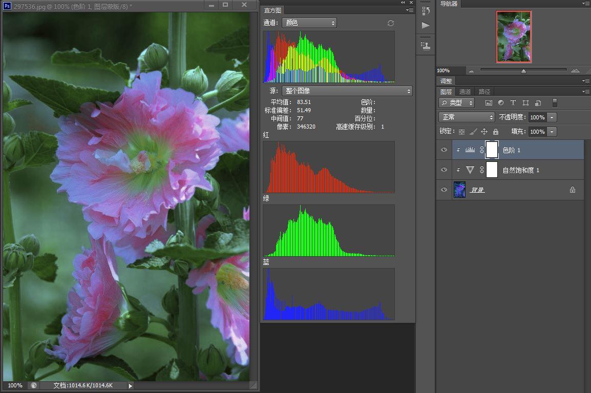 PS照片处理教程 为严重偏色花朵照片校色还原