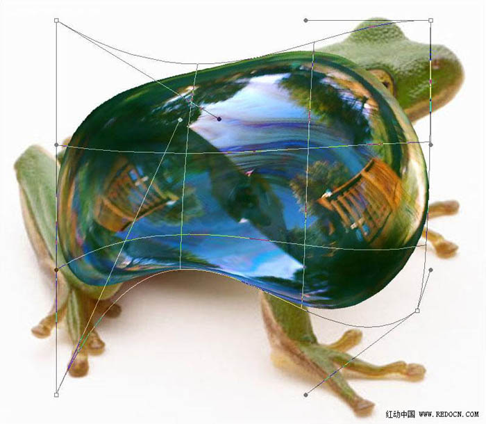 PS合成教程 制作一只晶莹剔透的玻璃青蛙 图14