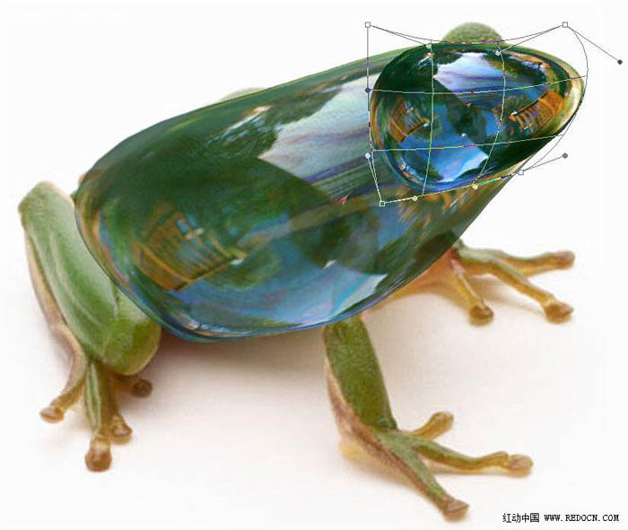 PS合成教程 制作一只晶莹剔透的玻璃青蛙 图20