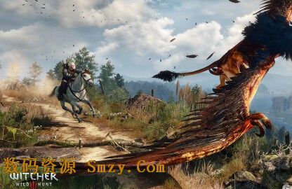 The Witcher 3: Wild Hunt黑屏怎麼辦