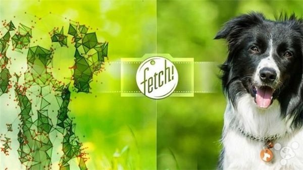 iPhone狗脸识别app——Fetch 可测狗狗品种
