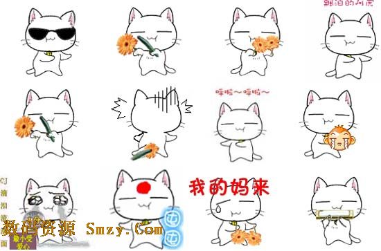菊花教教猫表情