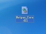 Netpas_Core.dll文件