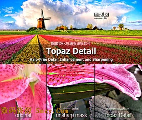 Topaz Detailps