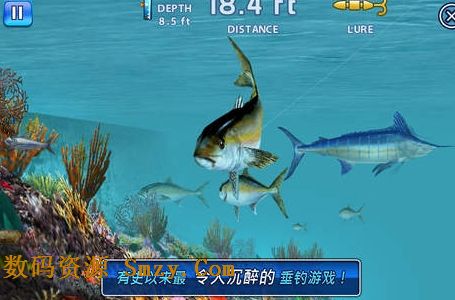 垂钓之王苹果版(垂钓之王iphone版) v1.3.5 免费ios版