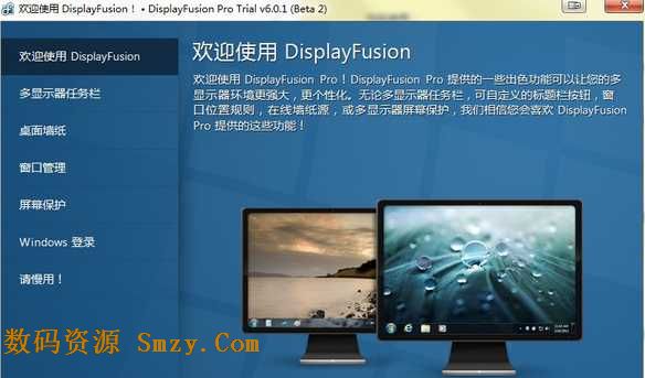 DispayFusion Pro