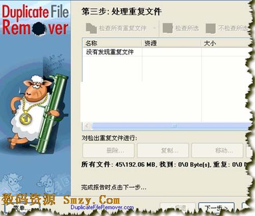 Duplicate File Remover