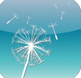 布拉旅行苹果版(布拉旅行IOS版) v3.7 最新免费版